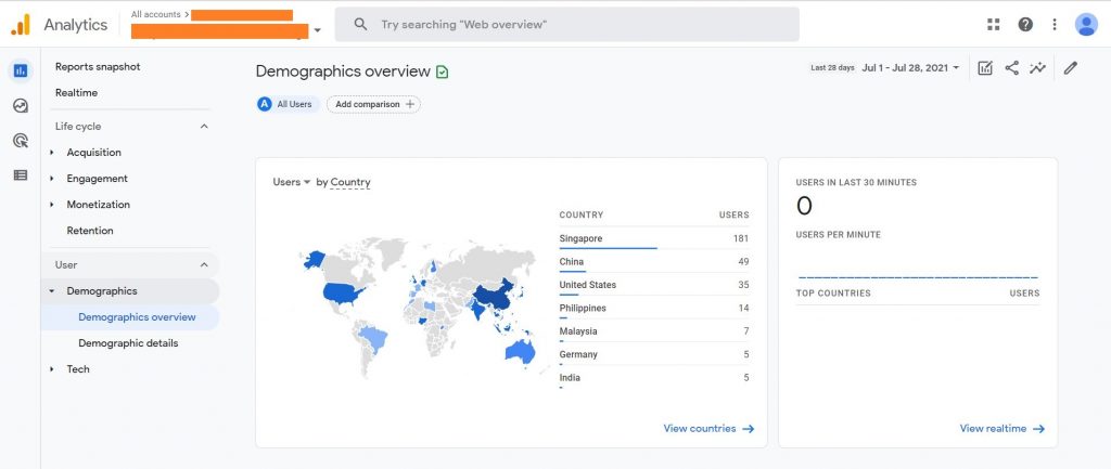 Dashboard Demographics Overview